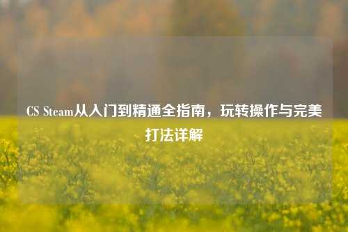 CS Steam从入门到精通全指南,玩转操作与完美打法详解
