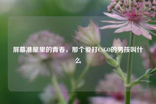 屏幕准星里的青春,那个爱打CSGO的男孩叫什么