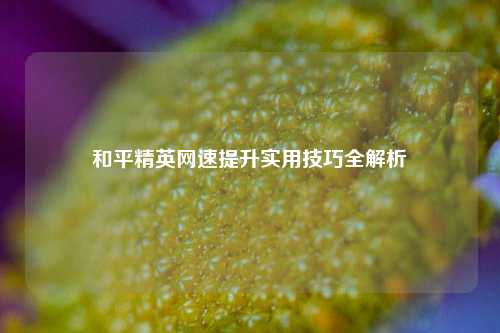 和平精英网速提升实用技巧全解析