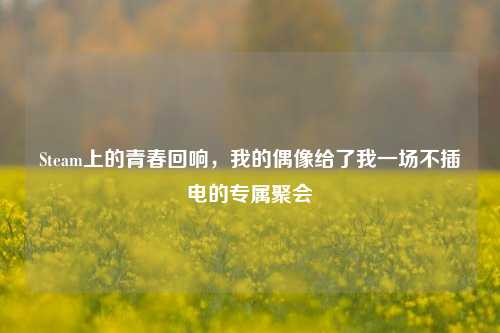 Steam上的青春回响,我的偶像给了我一场不插电的专属聚会
