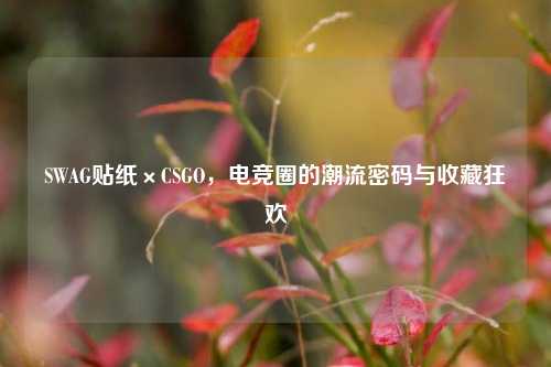 SWAG贴纸×CSGO,电竞圈的潮流密码与收藏狂欢