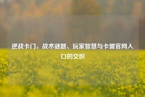 逆战卡门,战术谜题、玩家智慧与卡盟官网入口的交织