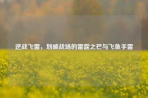 逆战飞雷,划破战场的雷霆之芒与飞鱼手雷