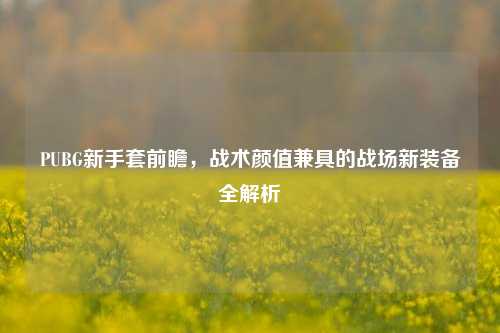 PUBG新手套前瞻,战术颜值兼具的战场新装备全解析