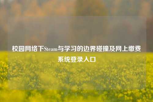 校园网络下Steam与学习的边界碰撞及网上缴费系统登录入口