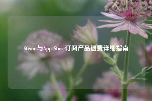 Steam与App Store订阅产品退费详细指南