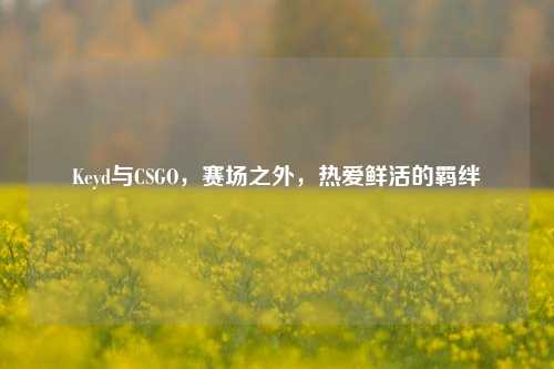Keyd与CSGO,赛场之外,热爱鲜活的羁绊