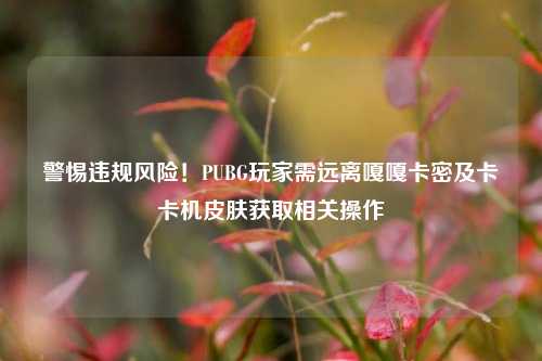 警惕违规风险！PUBG玩家需远离嘎嘎卡密及卡卡机皮肤获取相关操作