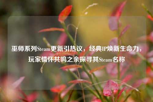 巫师系列Steam更新引热议，经典IP焕新生命力，玩家情怀共鸣之余探寻其Steam名称