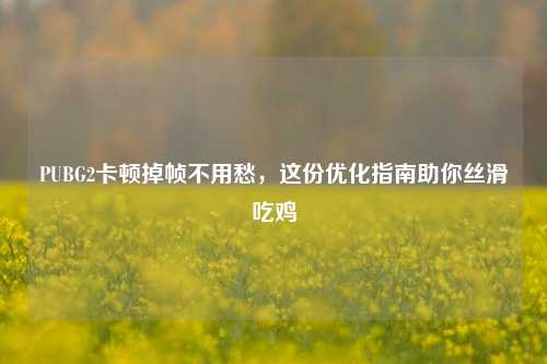 PUBG2卡顿掉帧不用愁,这份优化指南助你丝滑吃鸡