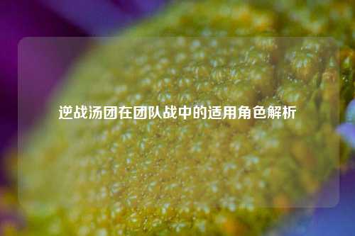 逆战汤团在团队战中的适用角色解析
