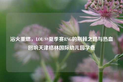 浴火重燃,LOL S9夏季赛RNG的荆棘之路与热血回响天津格林国际幼儿园学费