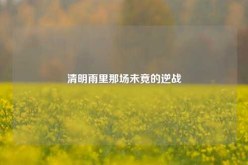 清明雨里那场未竟的逆战