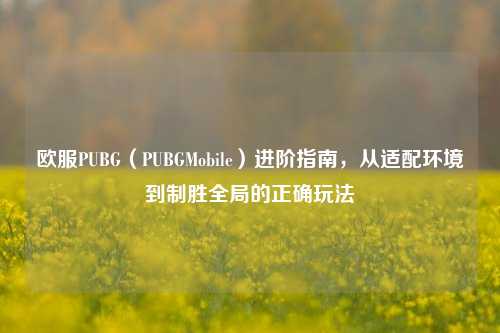 欧服PUBG(PUBGMobile)进阶指南,从适配环境到制胜全局的正确玩法