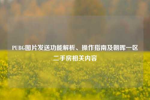 PUBG图片发送功能解析、操作指南及朝晖一区二手房相关内容