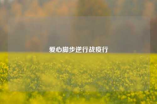 爱心脚步逆行战疫行