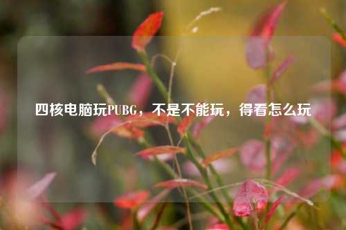 四核电脑玩PUBG,不是不能玩,得看怎么玩