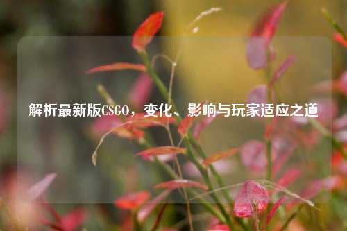 解析最新版CSGO,变化、影响与玩家适应之道