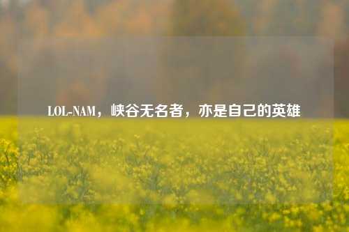 LOL-NAM,峡谷无名者,亦是自己的英雄