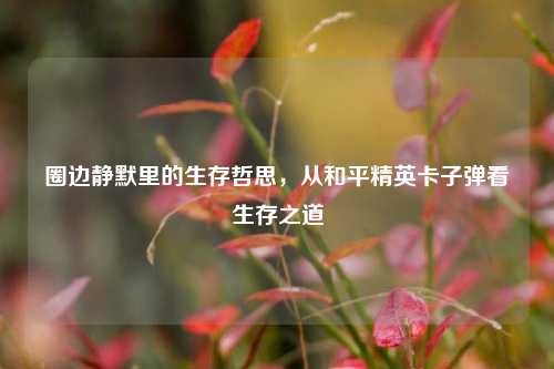圈边静默里的生存哲思，从和平精英卡子弹看生存之道