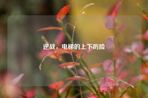 逆战,电梯的上下历险