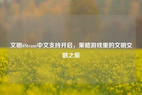 文明6Steam中文支持开启,策略游戏里的文明交融之旅