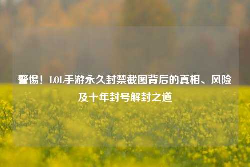 警惕！LOL手游永久封禁截图背后的真相、风险及十年封号解封之道