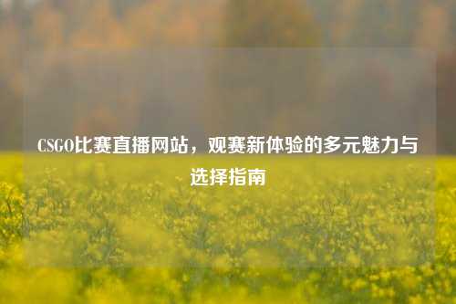 CSGO比赛直播网站,观赛新体验的多元魅力与选择指南
