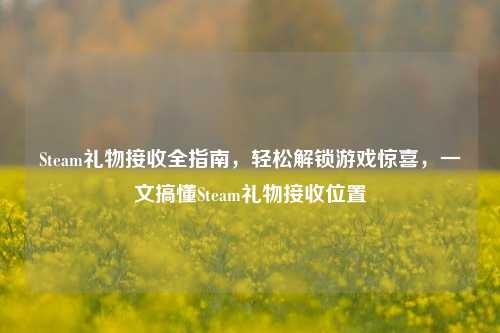 Steam礼物接收全指南,轻松解锁游戏惊喜,一文搞懂Steam礼物接收位置