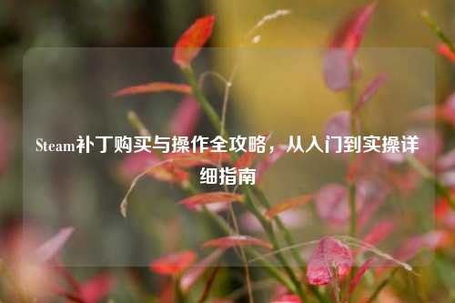 Steam补丁购买与操作全攻略,从入门到实操详细指南