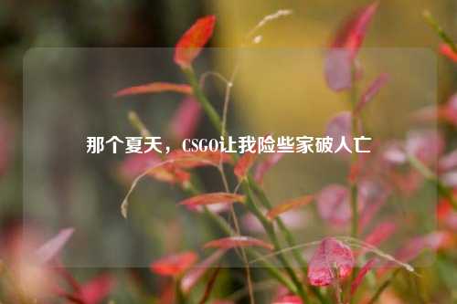 那个夏天，CSGO让我险些家破人亡