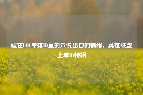 藏在LOL单排ID里的未说出口的情绪,英雄联盟上单ID特辑