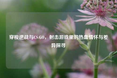 穿梭逆战与CS:GO,射击游戏里的热血情怀与差异探寻