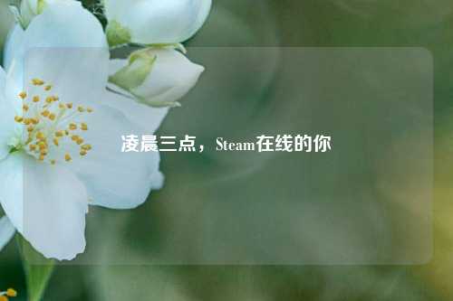 凌晨三点，Steam在线的你