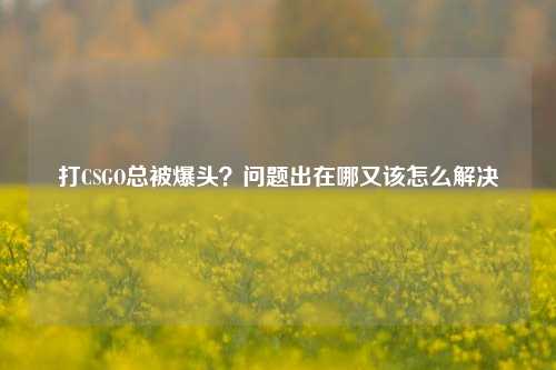 打CSGO总被爆头?问题出在哪又该怎么解决