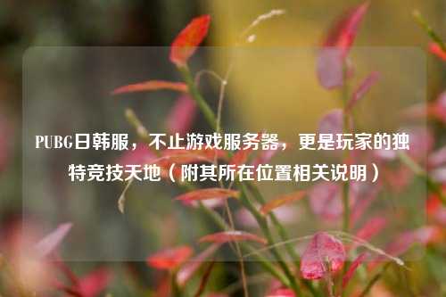 PUBG日韩服,不止游戏服务器,更是玩家的独特竞技天地(附其所在位置相关说明)