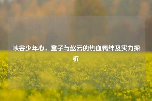 峡谷少年心,童子与赵云的热血羁绊及实力探析