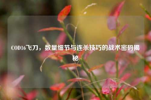 COD16飞刀,数量细节与连杀技巧的战术密码揭秘