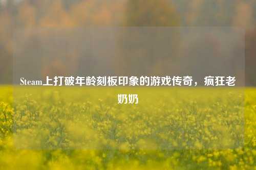Steam上打破年龄刻板印象的游戏传奇，疯狂老奶奶