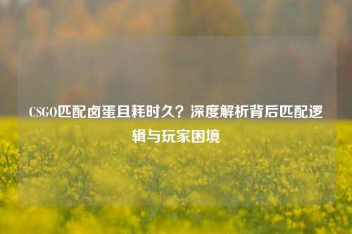 CSGO匹配卤蛋且耗时久?深度解析背后匹配逻辑与玩家困境