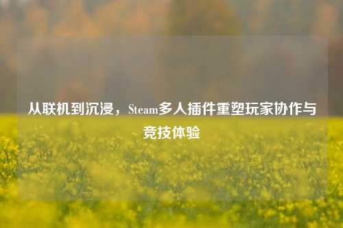 从联机到沉浸，Steam多人插件重塑玩家协作与竞技体验