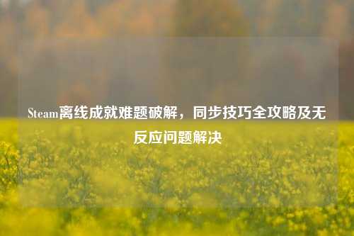 Steam离线成就难题破解,同步技巧全攻略及无反应问题解决
