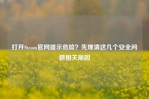 打开Steam官网提示危险?先理清这几个安全问题相关原因