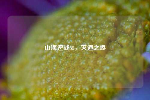 山海逆战55,灭道之烬