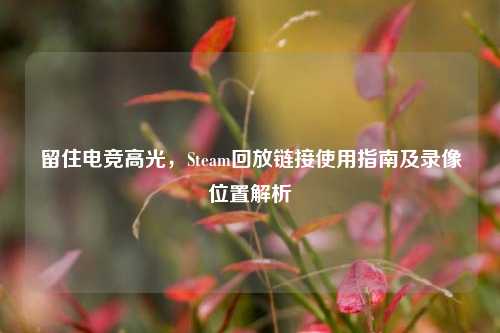 留住电竞高光,Steam回放链接使用指南及录像位置解析