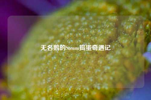 无名鹅的Steam捣蛋奇遇记