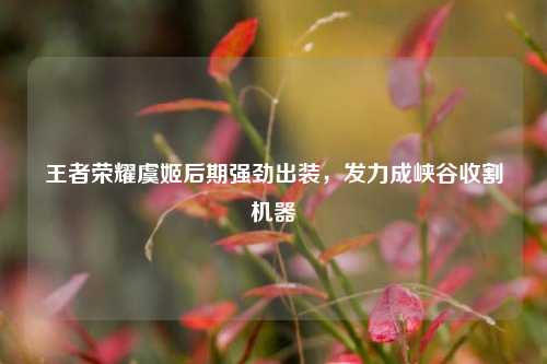 王者荣耀虞姬后期强劲出装，发力成峡谷收割机器