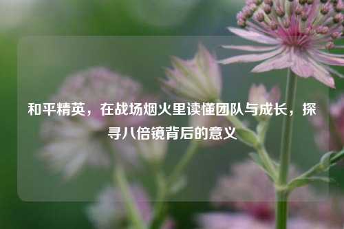 和平精英,在战场烟火里读懂团队与成长,探寻八倍镜背后的意义