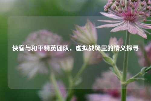 侠客与和平精英团队，虚拟战场里的情义探寻