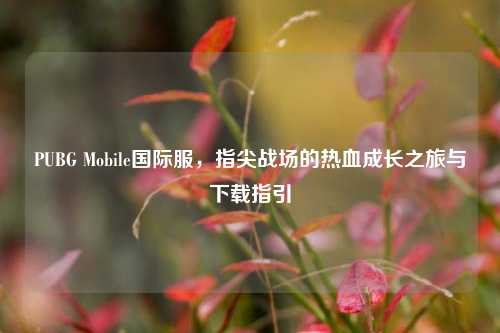 PUBG Mobile国际服,指尖战场的热血成长之旅与下载指引